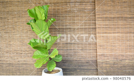 woven wood interior design, textured background 98048576