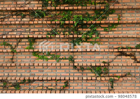 dirty block interior design, birck wall background 98048578