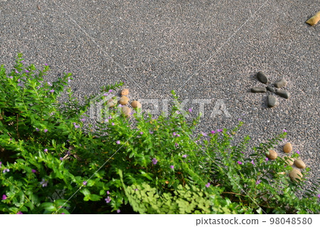 stone walkway with green garden, exterior design stone walkway with green garden, exterior design 98048580