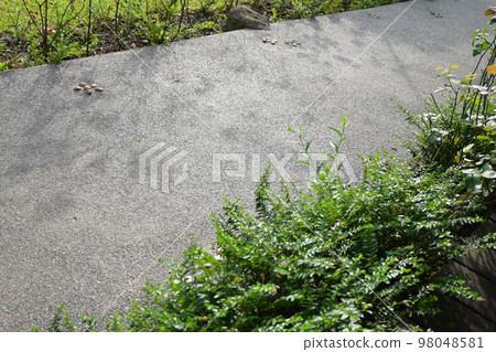 stone walkway with green garden, exterior design 98048581