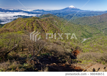 Fresh green Nabewari mountain ridge and Mt. Fuji seen from Mt. Tonodake in Tanzawa 98048651