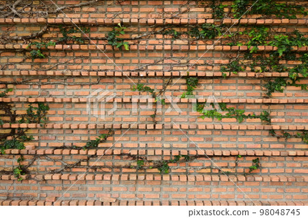 dirty block interior design, birck wall background 98048745