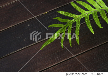wooden floor texture background, interior design wooden floor texture background, interior design 98048746