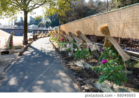 埼玉縣東松山市牡丹園草棚 埼玉縣東松山市牡丹園草棚 98049893