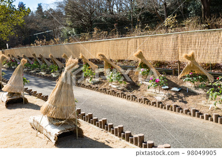 埼玉縣東松山市牡丹園草棚 98049905