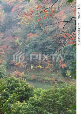 嵯峨野的雨景 嵯峨野的雨景 98050180