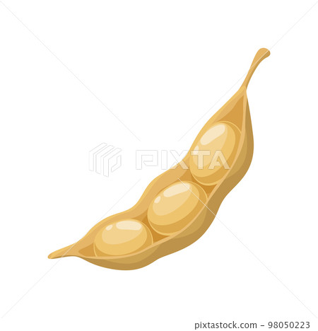 Isolated raw soy pod. Vegan diet protein or soybean dried pod with seeds and cartoon vector legumes agriculture harvest. Soy food natural nutrition ingredient Isolated raw soy pod. Vegan diet protein or soybean dried pod with seeds and cartoon vector legumes agriculture harvest. Soy food natural nutrition ingredient 98050223