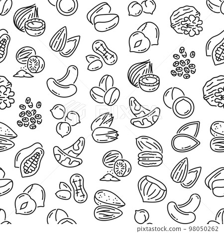 Outline nuts seamless pattern. Natural and healthy nutrition vector background, textile thin line seamless print or wallpaper pattern with hazelnut, coconut and cashew, brazil nut, walnut, pistachios 98050262