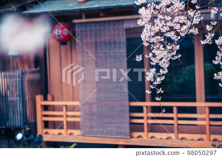 Shooting cherry blossoms in Higashiyama Gion Shirakawa, Kyoto city in spring 98050297