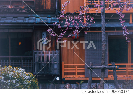 春天在京都市東山G園區白川市開櫻花 98050325