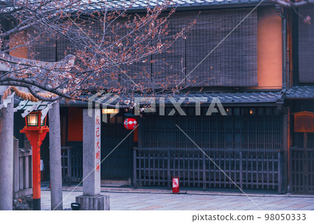 春天在京都市東山G園區白川市開櫻花 春天在京都市東山G園區白川市開櫻花 98050333