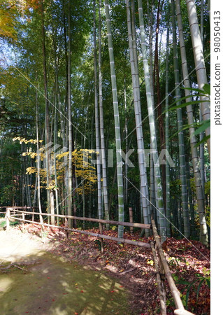 World Heritage Kanzan Chusonji Temple 98050413