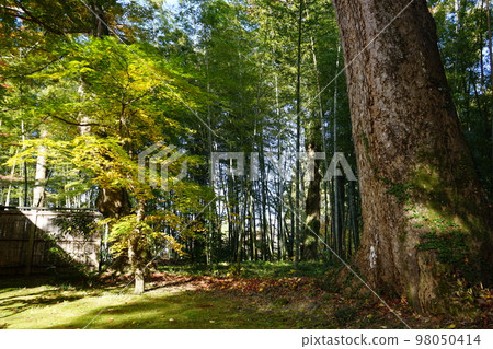 World Heritage Kanzan Chusonji Temple 98050414