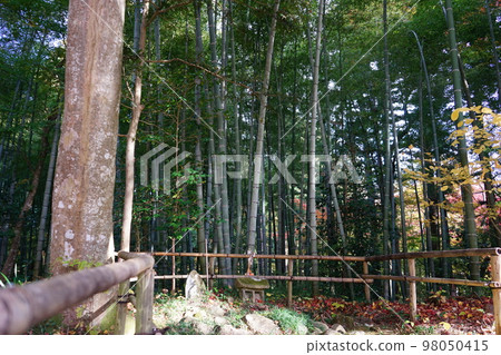 世界遺產觀山中尊寺 98050415