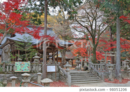 Autumn leaves of Akada Shrine 98051206