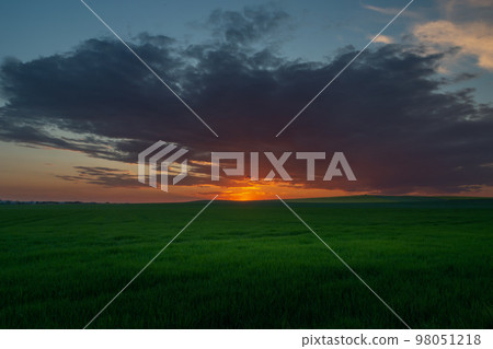 Sunset with evening cloud over green rural field, Staw, Poland 98051218