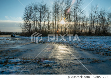 The sun behind the trees and ice on a snowy meadow The sun behind the trees and ice on a snowy meadow 98051222