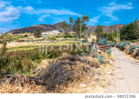 Mountain nature of South America in Peru Mountain nature of South America in Peru 98051306