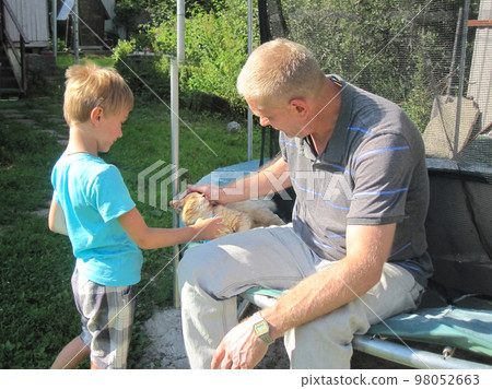 Father and son play with a fluffy red cat in the yard of a country house. Communication of people with pets 98052663