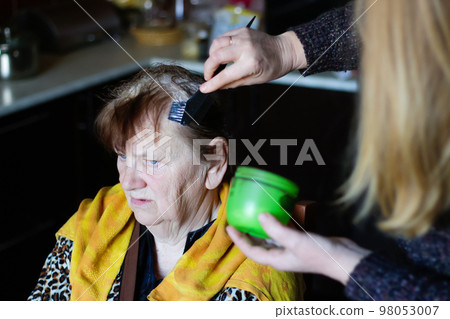 Hairdresser is dying female hair. The hairdresser dyeing brunette hair roots with a brush for a senior woman at home Hairdresser is dying female hair. The hairdresser dyeing brunette hair roots with a brush for a senior woman at home 98053007