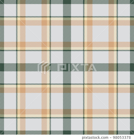 Plaid seamless pattern. Check fabric texture. Vector textile print. 98053378