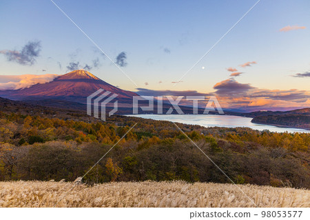 [Yamanashi Prefecture/ Mt. Fuji] View from Yamanakako panorama platform November 98053577