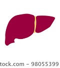 Illustration of the human liver (front) Human Liver (Anterior) 98055399