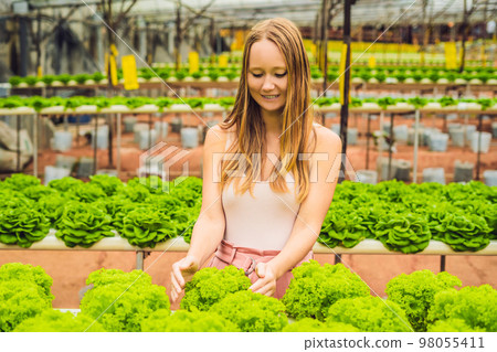 Farmer researching plant in hydroponic salad farm. Agriculture and scientist concept 98055411