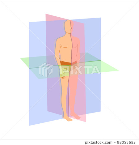 Scanning planes for body orientation position diagram Scanning planes for body orientation position diagram 98055682