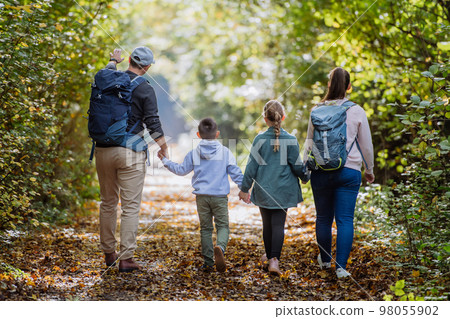 Rear view of family with kids walking in forest. 98055902