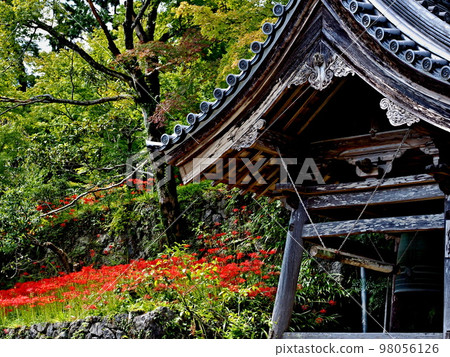 赤坂妙淨輪寺風光 赤坂妙淨輪寺風光 98056126