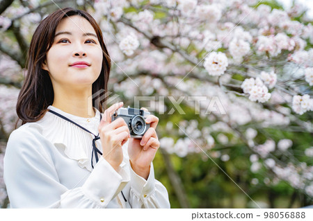 A woman holding a camera and watching cherry blossoms A woman holding a camera and watching cherry blossoms 98056888