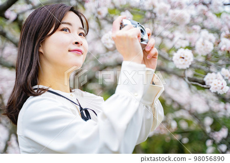 A woman holding a camera and watching cherry blossoms A woman holding a camera and watching cherry blossoms 98056890
