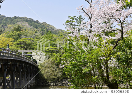 Ise Jingu Shrine in spring Uji Bridge and cherry blossoms Naiku Spring is in full bloom Japanese shrine 98056898