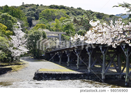 Ise Jingu Shrine in spring Uji Bridge and cherry blossoms Naiku Spring is in full bloom Japanese shrine 98056900
