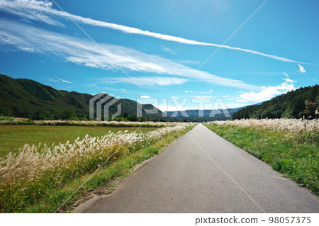 開田高原西野，蒲葦筆直的小路 98057375