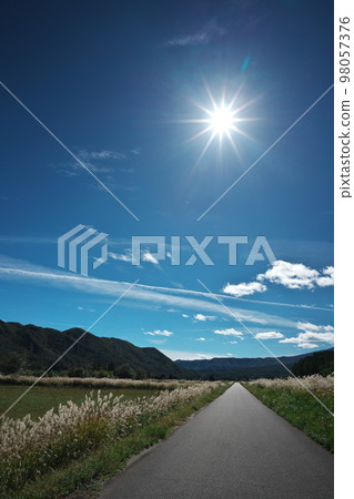 Kaida Kogen Nishino, a straight path of pampas grass that leads to the sun Kaida Kogen Nishino, a straight path of pampas grass that leads to the sun 98057376