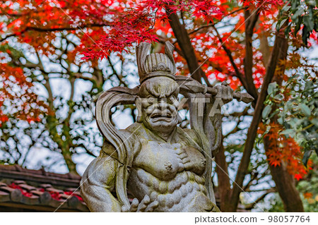 [Kanagawa Prefecture] Autumn scenery of Kozenji Temple, Nio statues and autumn leaves on the precincts, December *Natural scenery 98057764