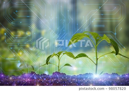 Agricultural technologies for growing plants and scientific research in the field of biology and chemistry of nature. Living green sprout in the hands of a farmer. Organic digital background 98057820