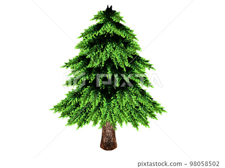 watercolor cedar 98058502