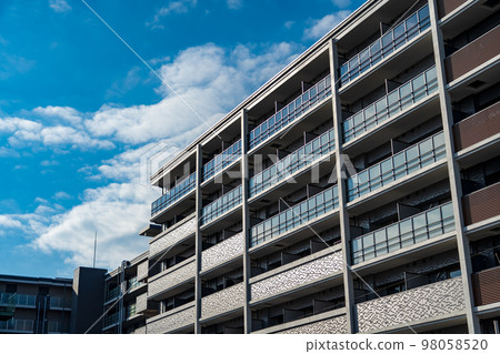 Mansion exterior 98058520