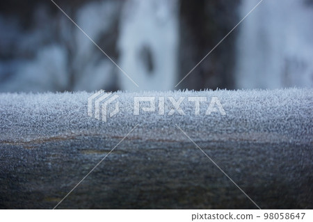 樹上的雪 98058647