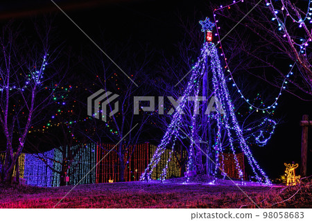Illumination in front of Irikifumoto Post Office (January 2023) 98058683