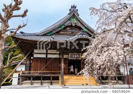 Spring Gyofukuji Temple, weeping cherry blossoms in full bloom <Toyota City, Aichi Prefecture> 98059604