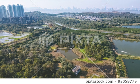 6 Jan 2023 the landscape of Fung Lok Wai Fish Pond 98059779