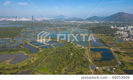 6 Jan 2022 the landscape of Fung Lok Wai Fish Pond 98059806
