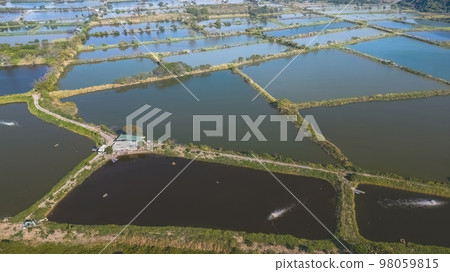 6 Jan 2023 the landscape of Fung Lok Wai Fish Pond 98059815