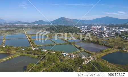 6 Jan 2023 the landscape of Fung Lok Wai Fish Pond 6 Jan 2023 the landscape of Fung Lok Wai Fish Pond 98059817