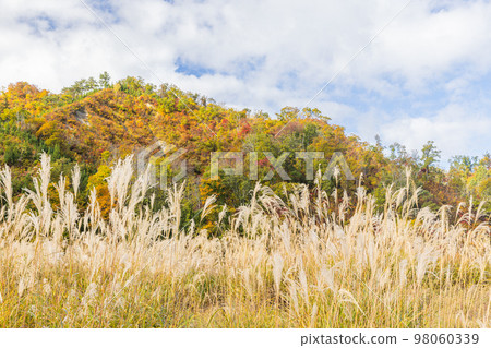 秋天的東北地區風景 98060339