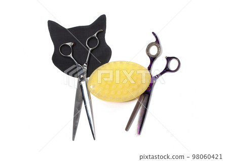 Set of different combs and brushes for grooming pets on a white background with shadow reflection. A creative cat figurine made from grooming tools. Set of different combs and brushes for grooming pets on a white background with shadow reflection. A creative cat figurine made from grooming tools. 98060421